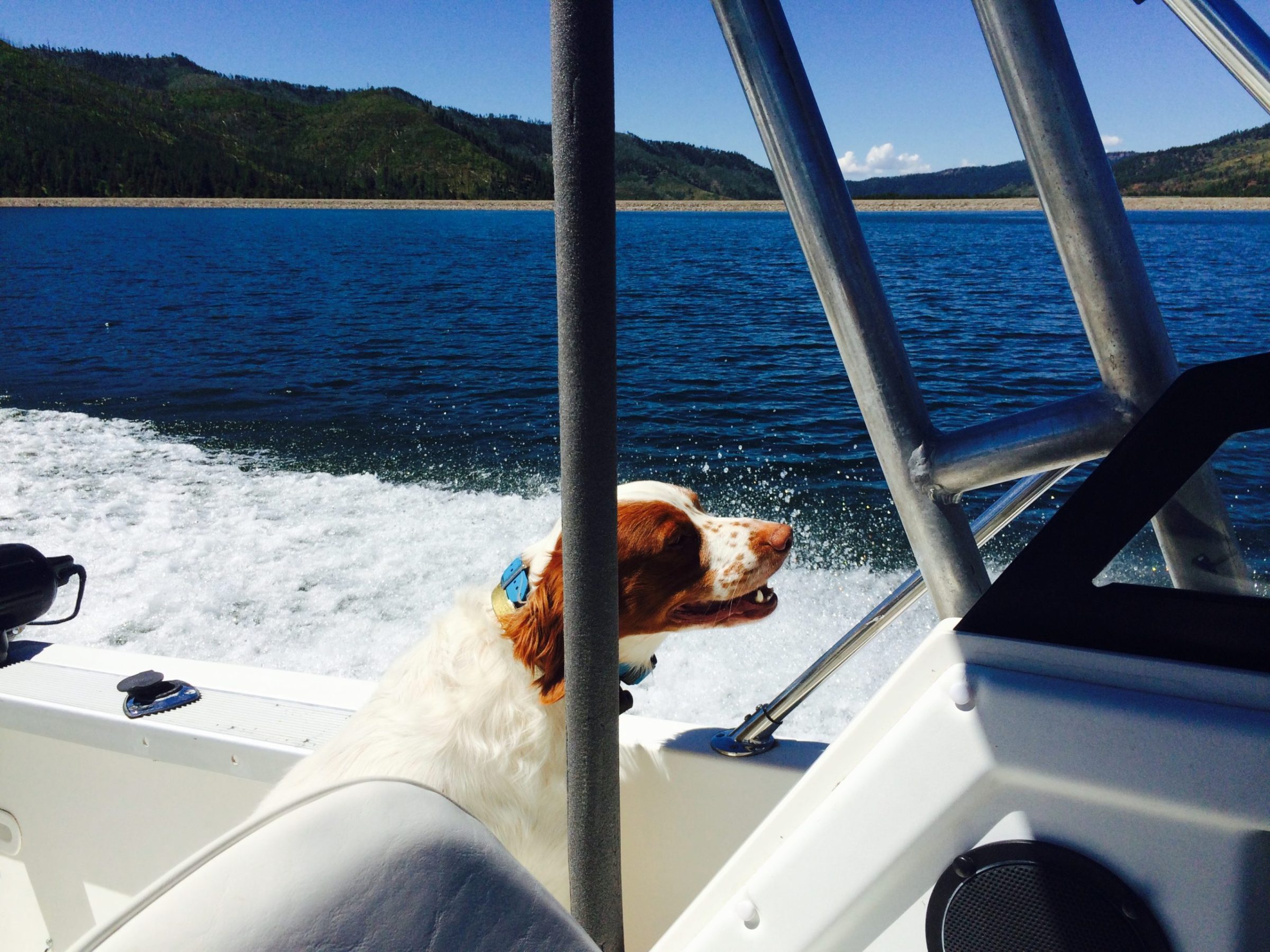a small boat in a body of water